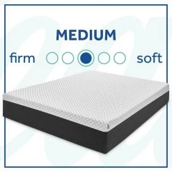 Cool and Clean 12 in. Medium Memory Foam Queen Mattress by Sealy -Sealy Sales Store gray and white sealy mattresses f03 00180 qn0 4f 1000