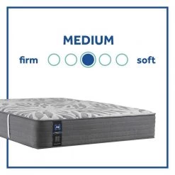 Posturepedic Plus 13 in. Medium Memory Innerspring Tight Top Queen Mattress Set by Sealy -Sealy Sales Store gray sealy mattresses 42767651 a0 1000