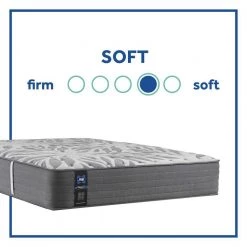 Posturepedic Plus 13 in. Plush Memory Innerspring Tight Top Queen Mattress Set by Sealy 17 Posturepedic Plus 13 in. Plush Memory Innerspring Tight Top Queen Mattress Set by Sealy -Sealy Sales Store gray sealy mattresses 42767851 a0 1000