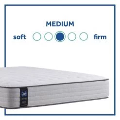 Posturepedic Spring Netherton 12 in. Medium Memory Foam Tight Top King Mattress Set with 9 in. High Foundation by Sealy -Sealy Sales Store gray sealy mattresses 42957361 77 1000