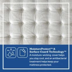 Posturepedic Spring Netherton 13 in. Medium Memory Foam Faux Top Twin XL Mattress Set with 9 in. High Foundation by Sealy -Sealy Sales Store gray sealy mattresses 42957931 77 1000