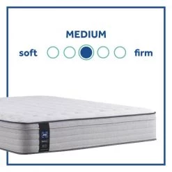 Posturepedic Spring Netherton 13 in. Medium Memory Foam Faux Top Cal Long Twin Mattress Set with 9 in. High Foundation by Sealy -Sealy Sales Store gray sealy mattresses 42957932 66 1000