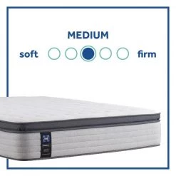 Posturepedic Spring Netherton 14 in. Medium Memory Foam Pillow Top King Mattress Set with 9 in. High Foundation by Sealy -Sealy Sales Store gray sealy mattresses 42958361 66 1000