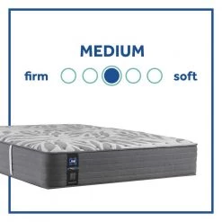 Posturepedic Plus 13 in. Medium Innerspring Tight Top Queen Mattress by Sealy 17 Posturepedic Plus 13 in. Medium Innerspring Tight Top Queen Mattress by Sealy -Sealy Sales Store gray sealy mattresses 52767651 66 1000