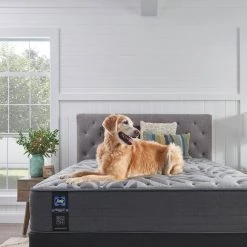 Posturepedic Plus 13 in. Plush Innerspring Tight Top Queen Mattress by Sealy 15 Posturepedic Plus 13 in. Plush Innerspring Tight Top Queen Mattress by Sealy -Sealy Sales Store gray sealy mattresses 52767851 a0 1000