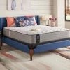 Posturepedic Spring Engelmann 12.5 in. Medium Memory Foam Tight Top Twin XL Mattress by Sealy -Sealy Sales Store gray sealy mattresses 52958931 64 1000
