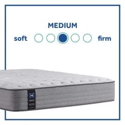 Posturepedic Spring Engelmann 12.5 in. Medium Memory Foam Tight Top California King Mattress by Sealy 16 Posturepedic Spring Engelmann 12.5 in. Medium Memory Foam Tight Top California King Mattress by Sealy -Sealy Sales Store gray sealy mattresses 52958962 66 1000
