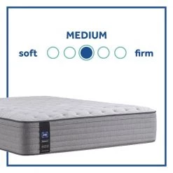 Posturepedic Spring Engelmann 14 in. Medium Memory Foam Faux Top King Mattress by Sealy -Sealy Sales Store gray sealy mattresses 52959561 66 1000